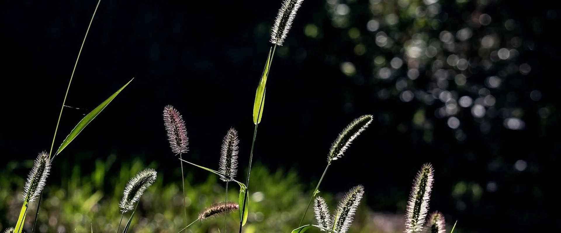 六合彩投注PG电子